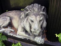 4 Az ellopott oroszlán